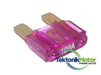 Siguranta plata maxi 100 a wpx100a